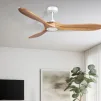 איזה מאוורר של SWING FANS הכי חזק?